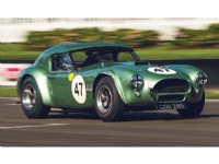 Shelby Cobra 289, COB289, Bill Shepherd